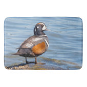 Mooie Harlequin Duck op de Rock Badmat (Voorkant)