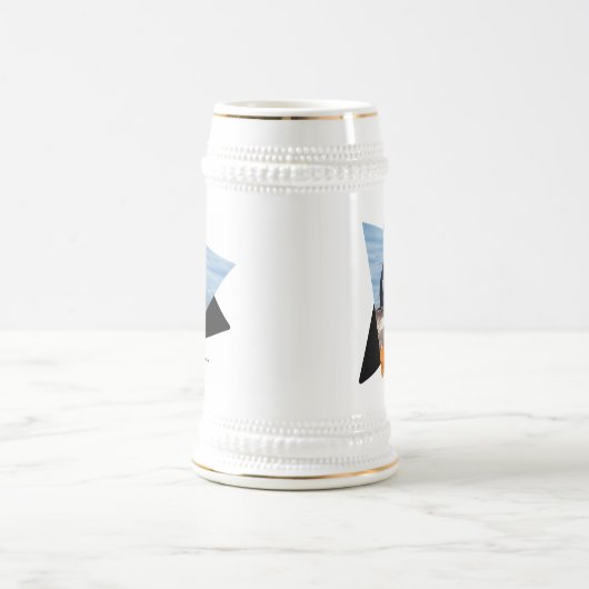 Mooie Harlequin Duck op de Rock Bierpul (Center)