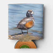 Mooie Harlequin Duck op de Rock Blikjeskoeler (Voorkant)