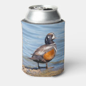 Mooie Harlequin Duck op de Rock Blikjeskoeler (Blikje Achterkant)