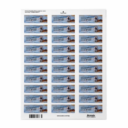 Mooie Harlequin Duck op de Rock Etiket (Full Sheet)