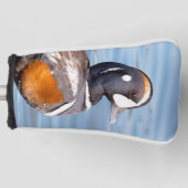 Mooie Harlequin Duck op de Rock Golfheadcover (Voorkant)