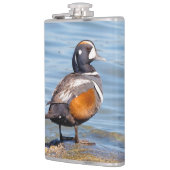 Mooie Harlequin Duck op de Rock Heupfles (Links)