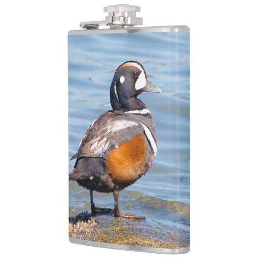 Mooie Harlequin Duck op de Rock Heupfles (Links)