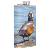 Mooie Harlequin Duck op de Rock Heupfles (Rechts)