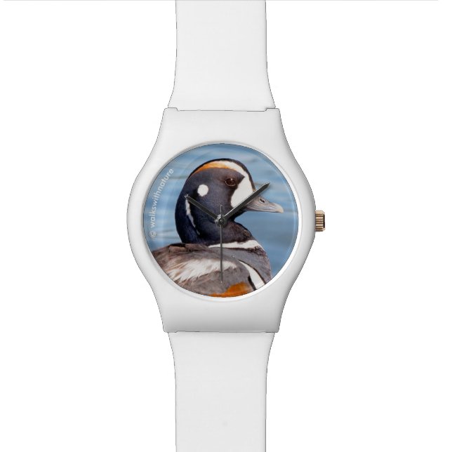Mooie Harlequin Duck op de Rock Horloge (Close Up)