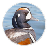 Mooie Harlequin Duck op de Rock Keramische Knop (Voorkant)
