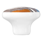 Mooie Harlequin Duck op de Rock Keramische Knop (Zijkant)