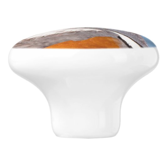 Mooie Harlequin Duck op de Rock Keramische Knop (Zijkant)