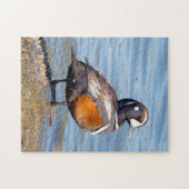 Mooie Harlequin Duck op de Rock Legpuzzel (Horizontaal)