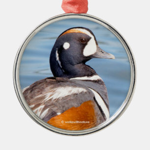 Mooie Harlequin Duck op de Rock Metalen Ornament
