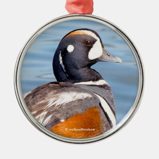Mooie Harlequin Duck op de Rock Metalen Ornament (Voorkant)