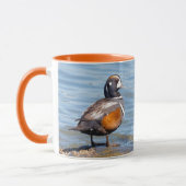 Mooie Harlequin Duck op de Rock Mok (Links)