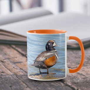 Mooie Harlequin Duck op de Rock Mok