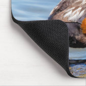 Mooie Harlequin Duck op de Rock Muismat (Hoek)