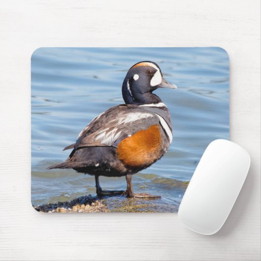 Mooie Harlequin Duck op de Rock Muismat (Met muis)
