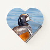 Mooie Harlequin Duck op de Rock Notitieboek (Achterkant)
