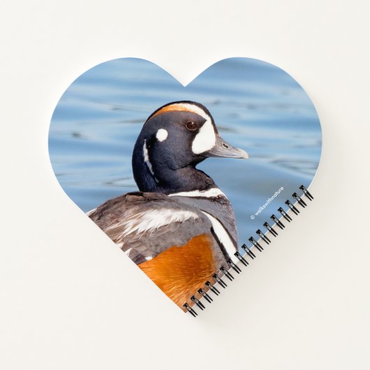 Mooie Harlequin Duck op de Rock Notitieboek (Achterkant)