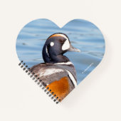 Mooie Harlequin Duck op de Rock Notitieboek (Voorkant)