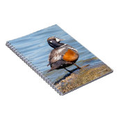 Mooie Harlequin Duck op de Rock Notitieboek (Rechterzijde)