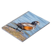 Mooie Harlequin Duck op de Rock Notitieboek (Linkerzijde)