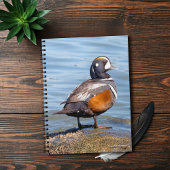 Mooie Harlequin Duck op de Rock Notitieboek