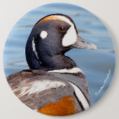 Mooie Harlequin Duck op de Rock Ronde Button 6,0 Cm (Voorkant)