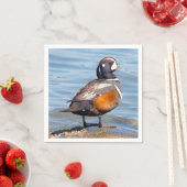 Mooie Harlequin Duck op de Rock Servet (Insitu)