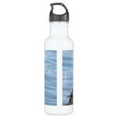 Mooie Harlequin Duck op de Rock Waterfles (Achterkant)