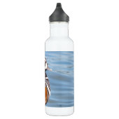 Mooie Harlequin Duck op de Rock Waterfles (Rechts)