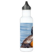 Mooie Harlequin Duck op de Rock Waterfles (Links)