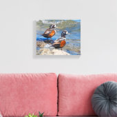 Mooie Harlequin Ducks op de Rocks Canvas Afdruk (Insitu (Woonkamer))