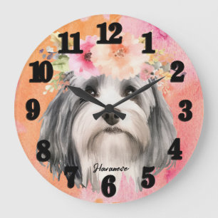 Mooie Havanese hond Grote Klok