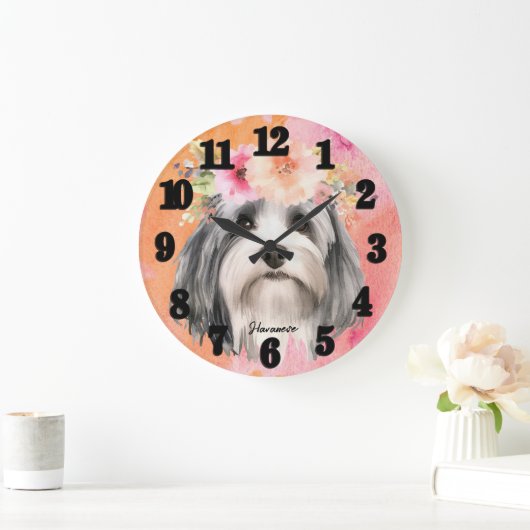 Mooie Havanese hond Grote Klok (Huis)