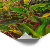 Mooie Hawaii Beach | Sun Sand & Green Paradise Poster (Hoek)