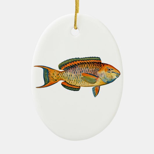 Mooie Hawaiiaanse vis - Regal Parrotfish Keramisch Ornament (Voorkant)