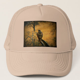 Mooie Hawk Trucker Pet