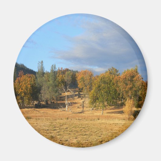 Mooie Hayfork, Californië.... Magneet (Voorkant)