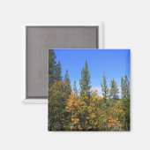 Mooie Hayfork, Californië... Magneet (Voorkant / Achterkant)