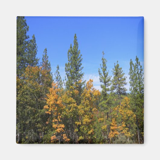 Mooie Hayfork, Californië... Magneet (Voorkant)
