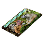 Mooie Healing Schrift Magneet Jeremia 30:17 (Linkerzijde)