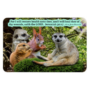 Mooie Healing Schrift Magneet Jeremia 30:17