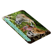 Mooie Healing Schrift Magneet Jeremia 30:17 (Rechterzijde)