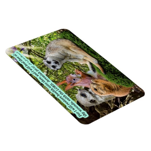 Mooie Healing Schrift Magneet Jeremia 30:17 (Rechterzijde)