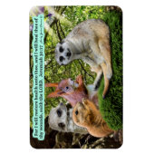 Mooie Healing Schrift Magneet Jeremia 30:17 (Verticaal)