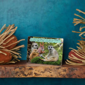 Mooie Healing Schrift Plaque Jeremiah 30:17 Fotoplaat (Zijkant)