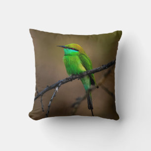 Mooie Heldere Groene Vogel op een Dunne Twig Kussen
