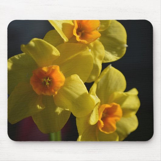 Mooie heldere kleur gele narcis bloem muismat (Voorkant)