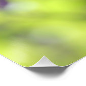 Mooie heldere Paarse Salvia Amistad Flowers Perfect Poster (Hoek)