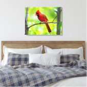 Mooie, heldere rode kardinaal in een boom canvas afdruk (Insitu (Slaapkamer))